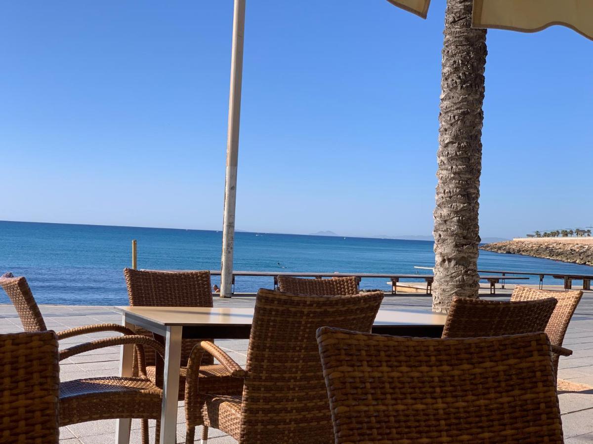 Residenz Ramon Gallud Torrevieja Eksteriør bilde